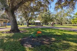 4419 Loblolly Bay Rd, Labelle, FL 33935 - Photo 38