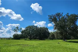 4634 Loblolly Bay Rd, Labelle, FL 33935 - Photo 2