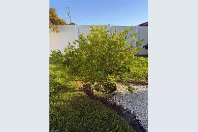 1943 SE 8th Pl, Cape Coral, FL 33990 - Photo 60