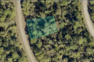 1125232808 Breadnut St, North Port, FL 34288 - Photo 1