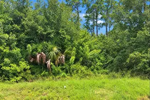 13346 Cappy Terrace, Punta Gorda, FL 33955 - Photo 1