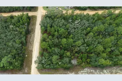 N/A Selma Ave Ave, Interlachen, FL 32148 - Photo 20