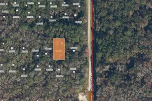 127 Jay Ave, Georgetown, FL 32139 - Photo 1