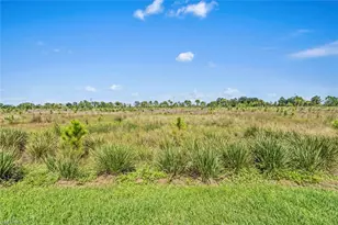19540 Hinkley Dr, Estero, FL 33928 - Photo 24