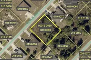 2429/2431 Richard Ave S, Lehigh Acres, FL 33973 - Photo 1
