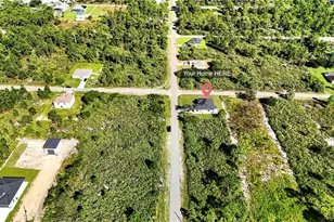 1501 W 13th St, Lehigh Acres, FL 33972 - Photo 58
