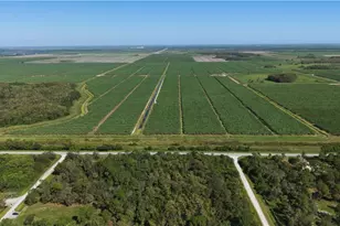 336 Pine Cone Ave, Clewiston, FL 33440 - Photo 1
