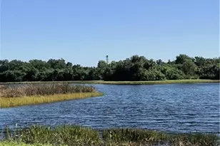 8130 Tar Hollow Dr, Gibsonton, FL 33534 - Photo 44