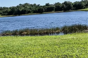8130 Tar Hollow Dr, Gibsonton, FL 33534 - Photo 42