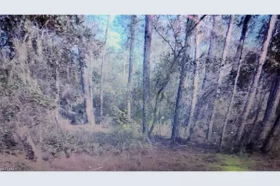 113 Carr Pl, Satsuma, FL 32189 - Photo 1