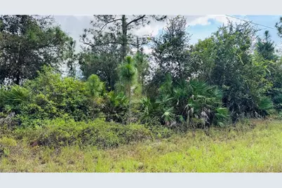 311 S Dill Ave, Lehigh Acres, FL 33974 - Photo 1