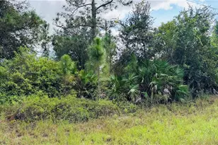 311 S Dill Ave, Lehigh Acres, FL 33974 - Photo 1
