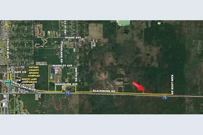 Blackburn Rd, Naples, FL 34117 - Photo 2