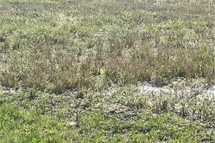 2020 NW 4th Terrace, Cape Coral, FL 33993 - Photo 6