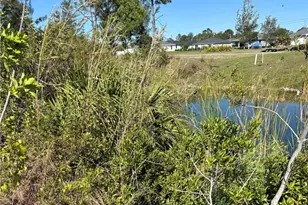 4011 NE 9th Ave, Cape Coral, FL 33909 - Photo 4