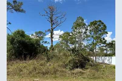1009 Acacia Ave, Lehigh Acres, FL 33972 - Photo 4