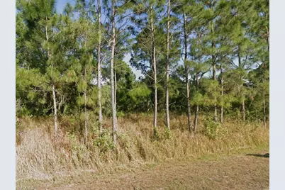 708 Clayton Ave, Lehigh Acres, FL 33972 - Photo 2