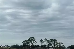 9099 Leatherwood Loop, Lehigh Acres, FL 33936 - Photo 38