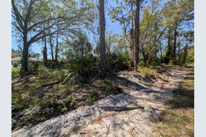 3700 Elaine Ave N, Lehigh Acres, FL 33971 - Photo 10