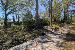 3700 Elaine Ave N, Lehigh Acres, FL 33971 - Photo 10