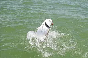 274 Stella Maris Dr S, Naples, FL 34114 - Photo 38