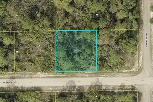 1502 W 14th St, Lehigh Acres, FL 33972 - Photo 1