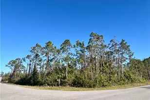 15249 Red Head Ave, Port Charlotte, FL 33981 - Photo 1