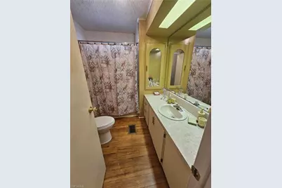 4 Elder St, Alva, FL 33920 - Photo 18