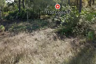 1130 Coons St E, Lehigh Acres, FL 33974 - Photo 1