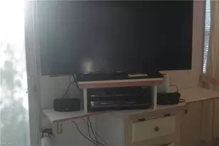 3809 Lemon Twist Loop, Bonita Springs, FL 34134 - Photo 18