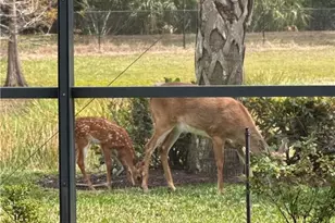 20309 Black Tree Ln, Estero, FL 33928 - Photo 38