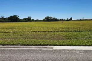 22728 Yellow Button Ln, Alva, FL 33920 - Photo 1