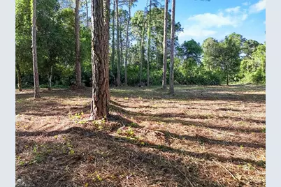 107 Rosemont Pl, Labelle, FL 33935 - Photo 22