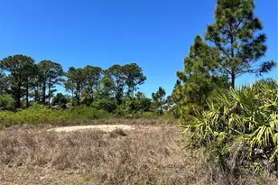 338 Genoa Ave S, Lehigh Acres, FL 33974 - Photo 1