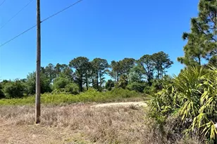 338 Genoa Ave S, Lehigh Acres, FL 33974 - Photo 2