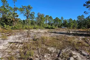 373 Omaha Ct, Lehigh Acres, FL 33972 - Photo 1