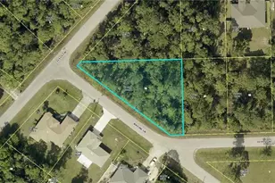 3004 Nadine Ln, Lehigh Acres, FL 33971 - Photo 1