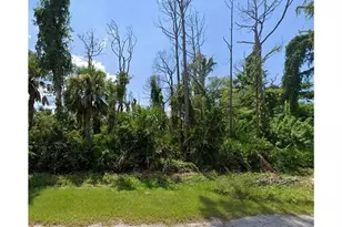 3471 Tropical Point Dr, Saint James City, FL 33956 - Photo 1