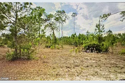 1005 Hamilton Ave, Lehigh Acres, FL 33972 - Photo 2