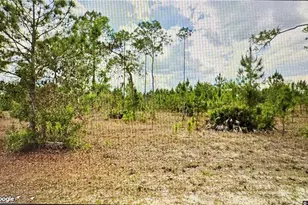 1005 Hamilton Ave, Lehigh Acres, FL 33972 - Photo 2