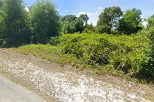 1042 Citrus Ave S, Lehigh Acres, FL 33974 - Photo 2