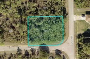 1018 Naples Ave S, Lehigh Acres, FL 33974 - Photo 1