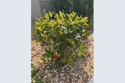 10336 Fire Flag Trl, Fort Myers, FL 33905 - Photo 12