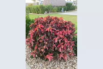 10309 Fire Flag Trl, Fort Myers, FL 33905 - Photo 22