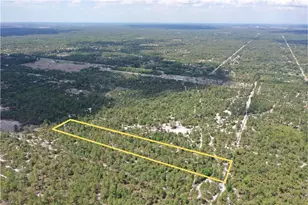 Frangipani Ave, Naples, FL 34117 - Photo 4