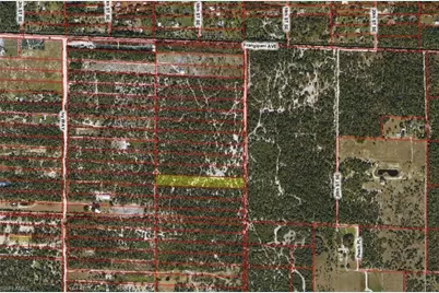 Xx Frangipani Ave, Naples, FL 34117 - Photo 2