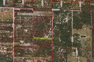 Xx Frangipani Ave, Naples, FL 34117 - Photo 2