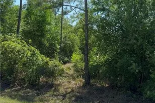 11479 5th Ave, Punta Gorda, FL 33955 - Photo 1