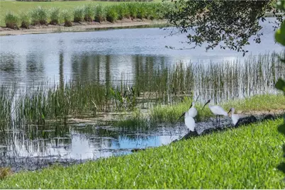 10295 Heritage Bay Blvd #911, Naples, FL 34120 - Photo 50