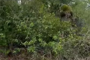 308 Jourferie Rd, Lehigh Acres, FL 33974 - Photo 1